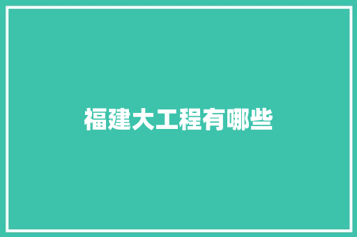 福建大工程有哪些
