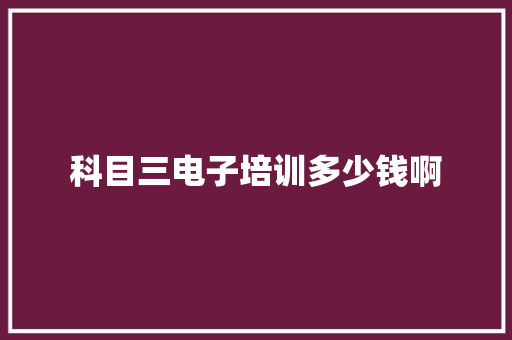 科目三电子培训多少钱啊