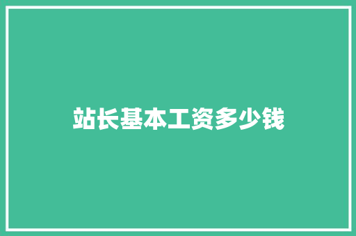 站长基本工资多少钱