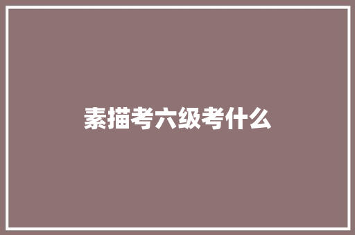 素描考六级考什么
