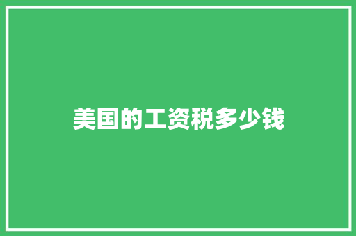 美国的工资税多少钱
