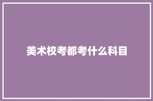 美术校考都考什么科目
