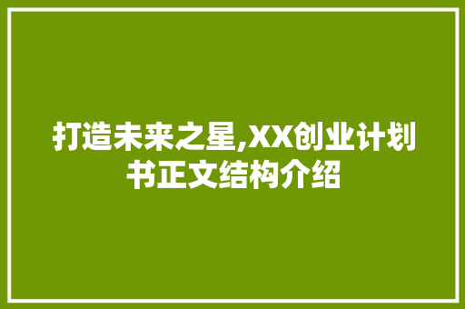 打造未来之星,XX创业计划书正文结构介绍