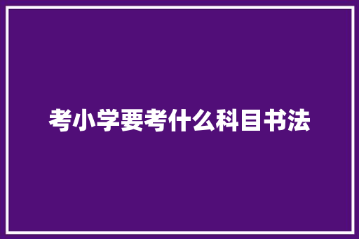 考小学要考什么科目书法