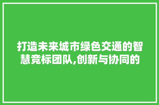 打造未来城市绿色交通的智慧竞标团队,创新与协同的完美融合