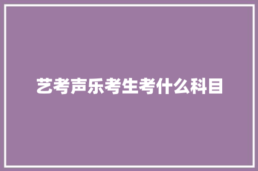 艺考声乐考生考什么科目