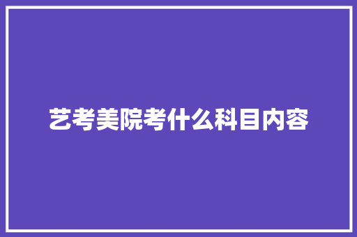 艺考美院考什么科目内容