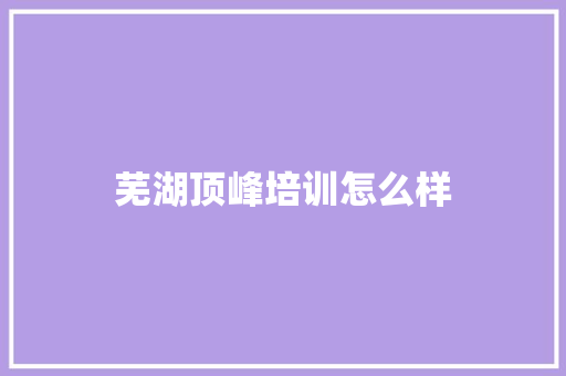 芜湖顶峰培训怎么样
