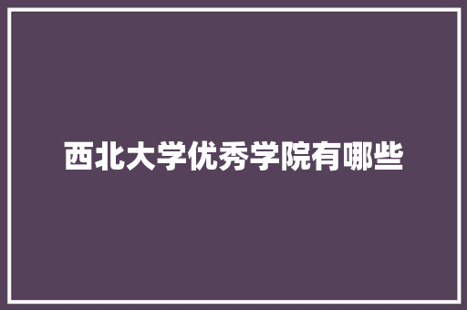 西北大学优秀学院有哪些