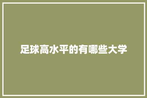 足球高水平的有哪些大学