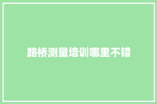 路桥测量培训哪里不错
