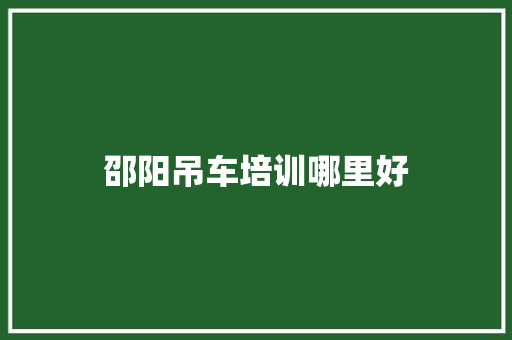 邵阳吊车培训哪里好