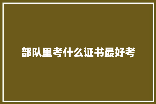 部队里考什么证书最好考