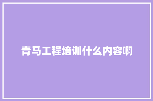 青马工程培训什么内容啊