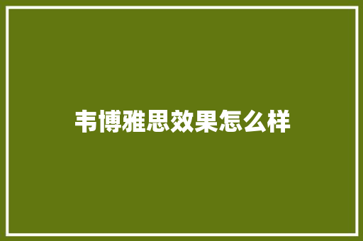 韦博雅思效果怎么样