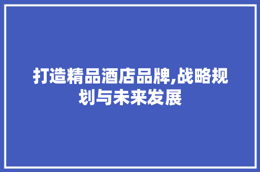 打造精品酒店品牌,战略规划与未来发展