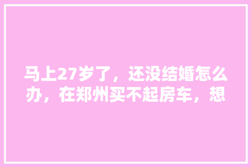 盒子超人计划,未来城市物流的革新之光
