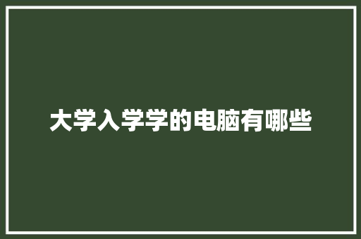 大学入学学的电脑有哪些