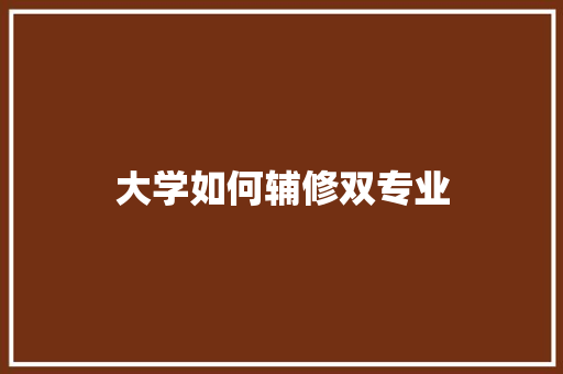 大学如何辅修双专业