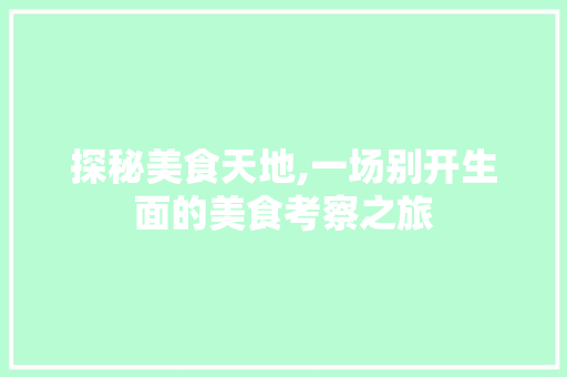 探秘美食天地,一场别开生面的美食考察之旅