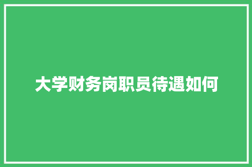 大学财务岗职员待遇如何