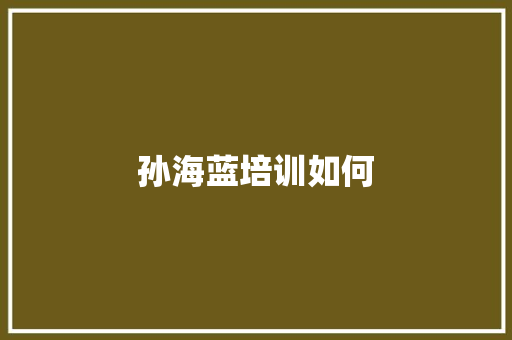 孙海蓝培训如何