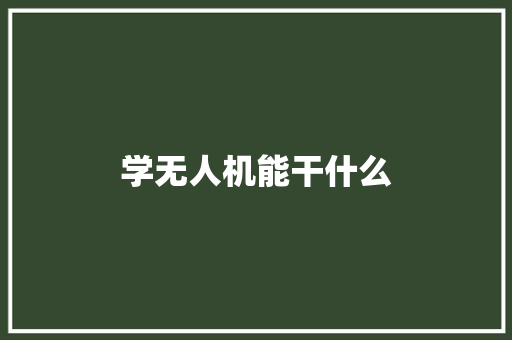 学无人机能干什么