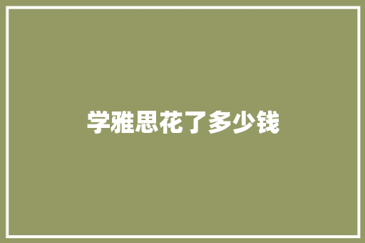 学雅思花了多少钱
