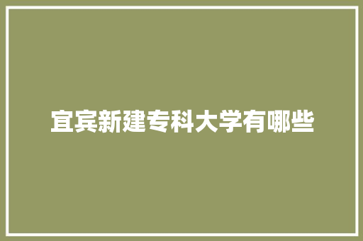 宜宾新建专科大学有哪些