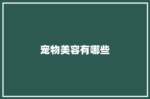 宠物美容有哪些