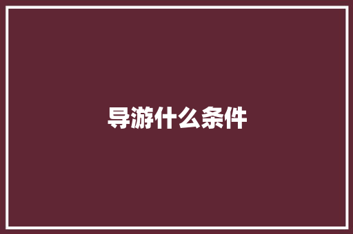 导游什么条件