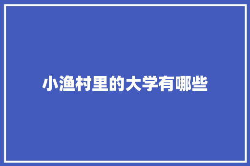 小渔村里的大学有哪些
