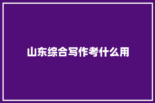 山东综合写作考什么用