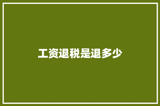 工资退税是退多少
