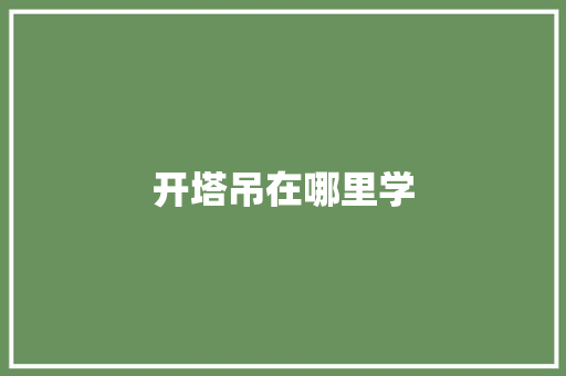 开塔吊在哪里学