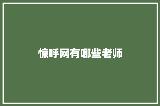 惊呼网有哪些老师