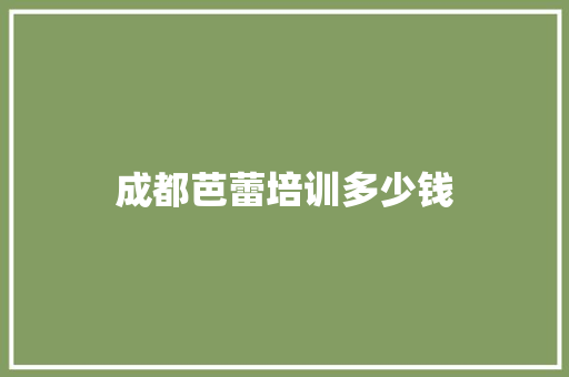 成都芭蕾培训多少钱
