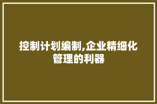 控制计划编制,企业精细化管理的利器