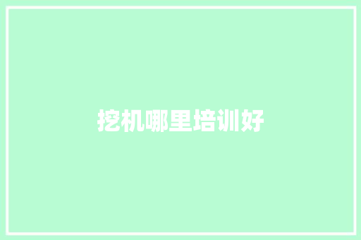 挖机哪里培训好 近义词汇