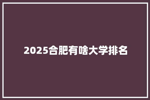 2025合肥有啥大学排名