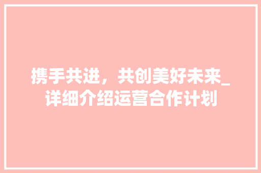 携手共进，共创美好未来_详细介绍运营合作计划