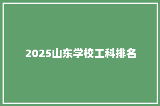 2025山东学校工科排名