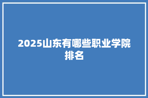 2025山东有哪些职业学院排名