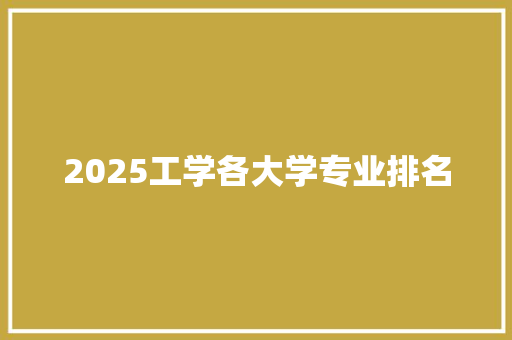 2025工学各大学专业排名