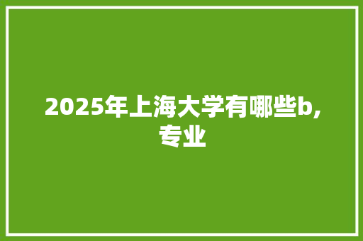 2025年上海大学有哪些b,专业