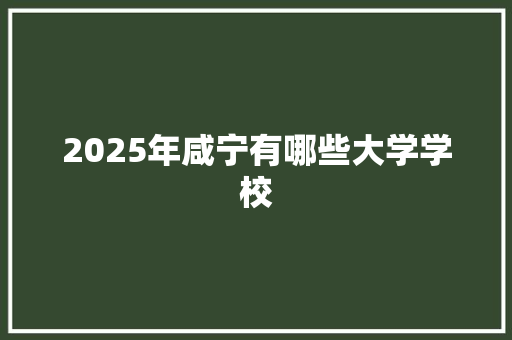 2025年咸宁有哪些大学学校