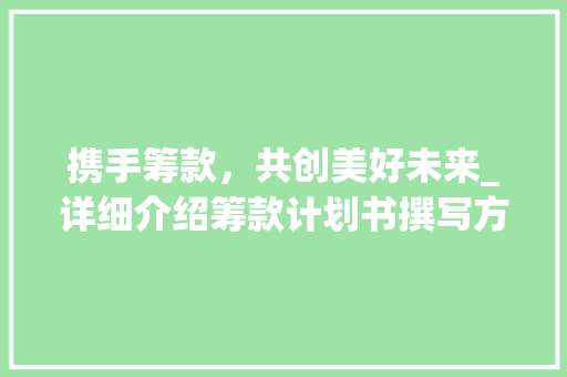 携手筹款，共创美好未来_详细介绍筹款计划书撰写方法