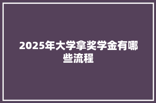 2025年大学拿奖学金有哪些流程