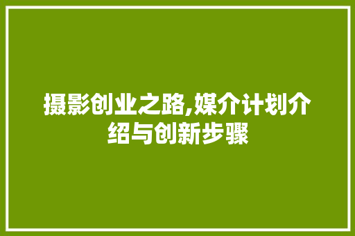 摄影创业之路,媒介计划介绍与创新步骤