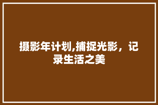 摄影年计划,捕捉光影，记录生活之美